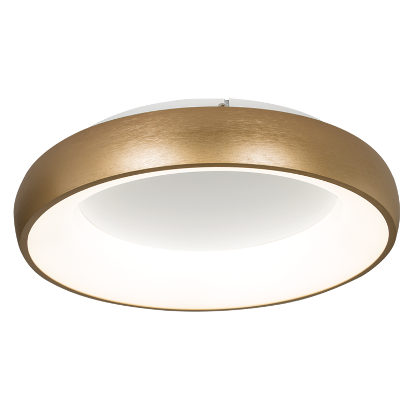 Karri Gold LED Ceiling Light (Launch Special)