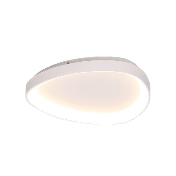 Modern LED Ceiling Lights