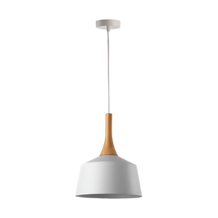 Modern Rustic Lighting