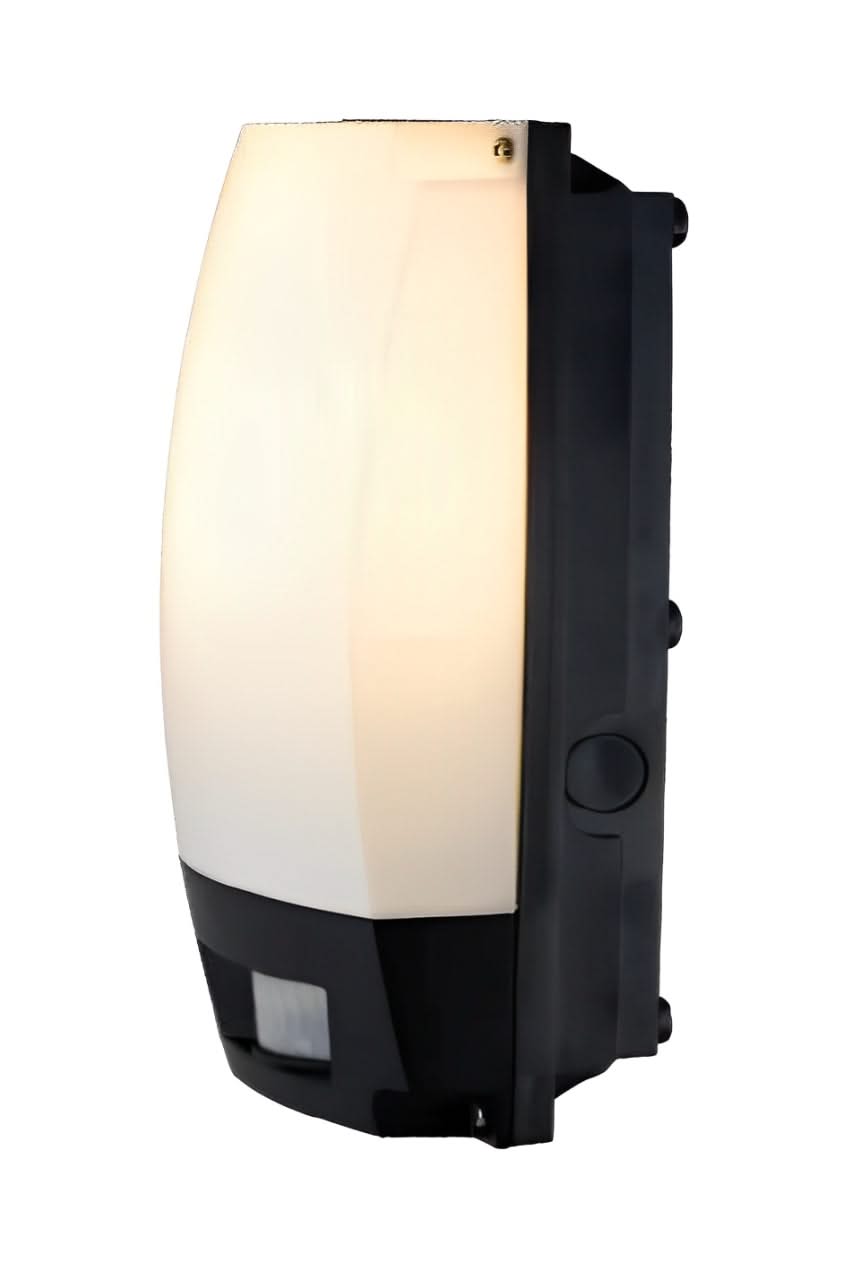 Outdoor Security Lighting