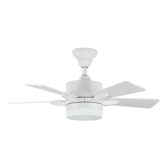 Designer Ceiling Fans with Lights