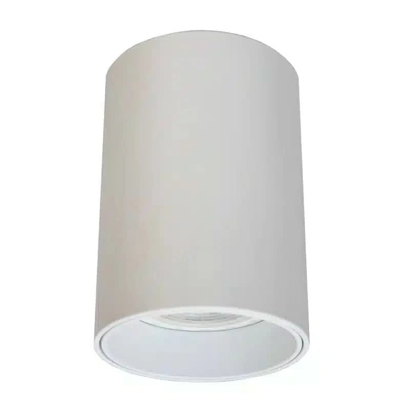 Modern Downlight Fixture