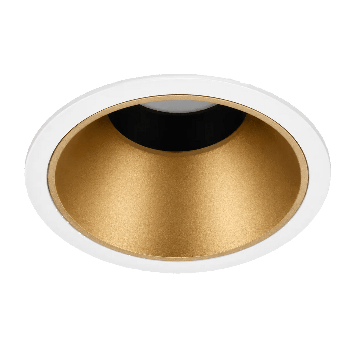 Citterio Rear Adjustable Downlight - Matt Gold / White