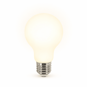 Light bulb on a white background