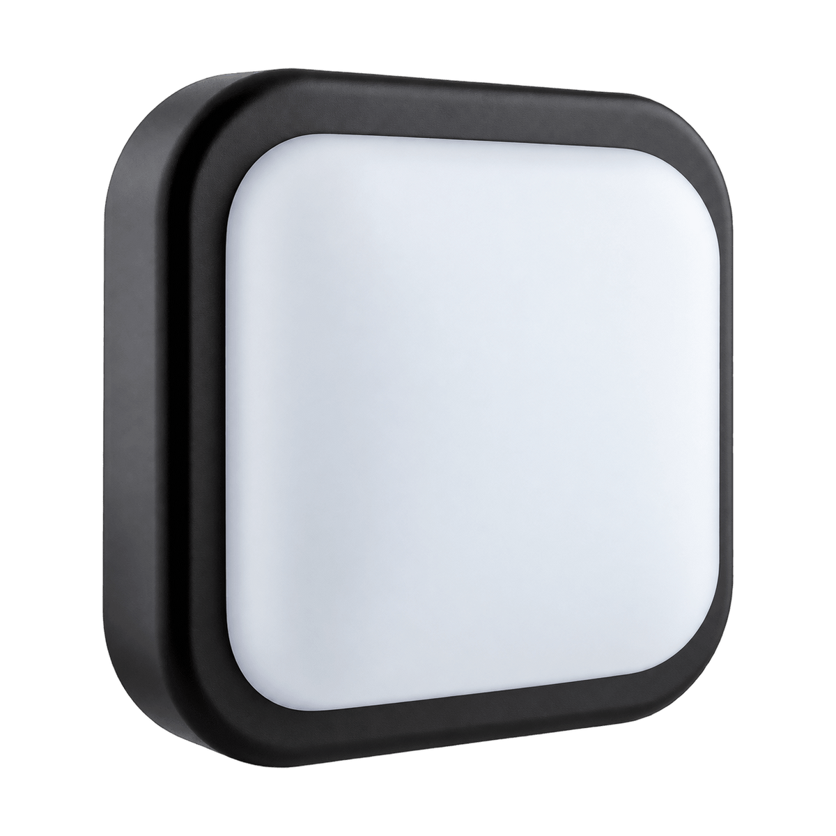 14W Square LED Bulkhead in black, transparent background