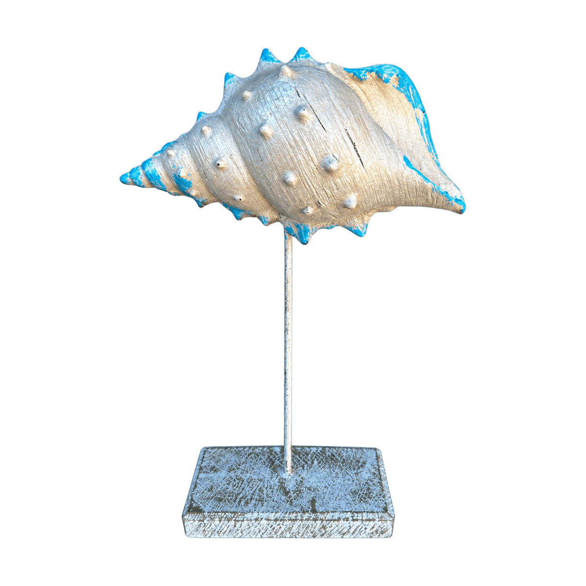 Blue-Tip Beige Seasnail Figurine, transparent background
