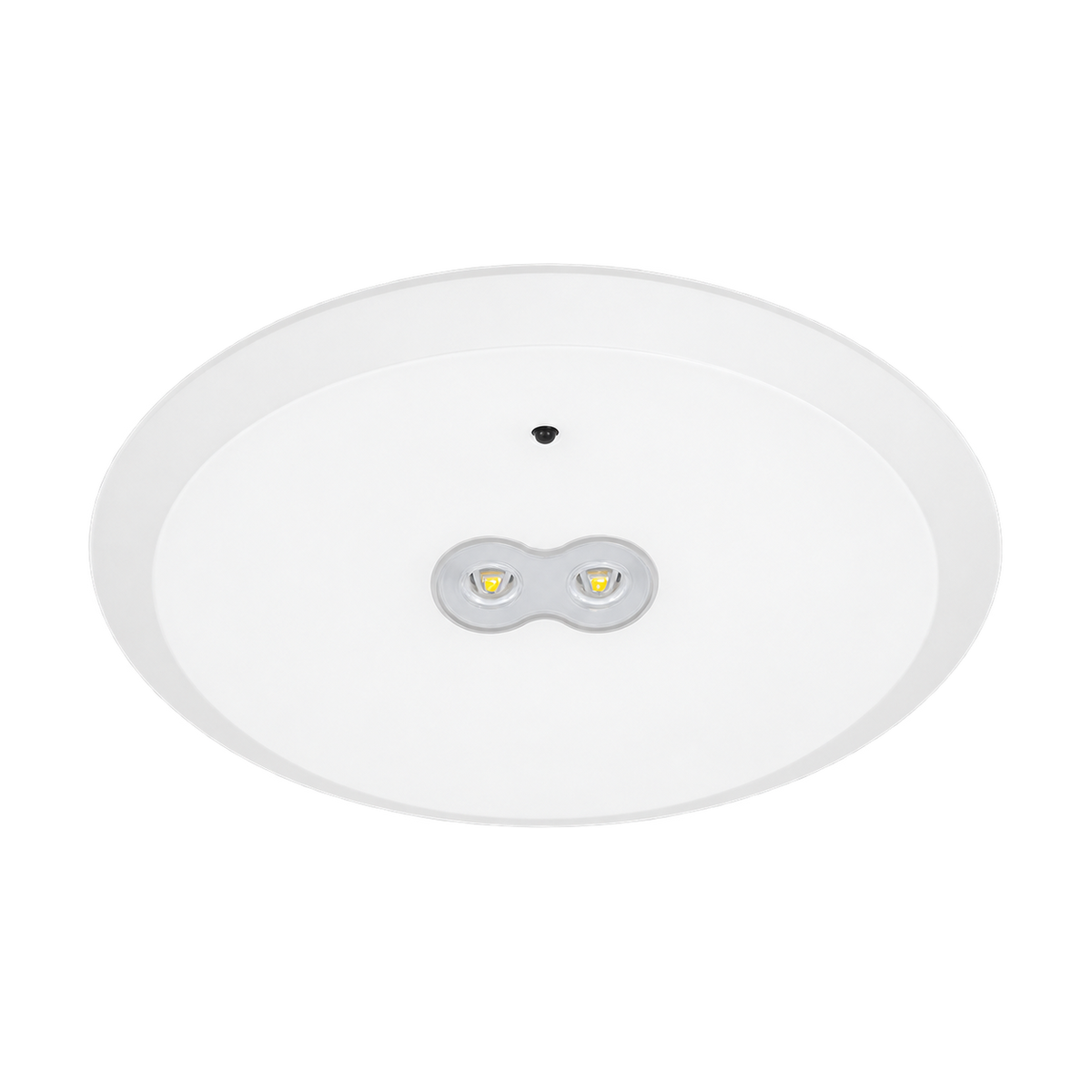 White 6W emergency LED downlight with twin emergency lenses on transparent background