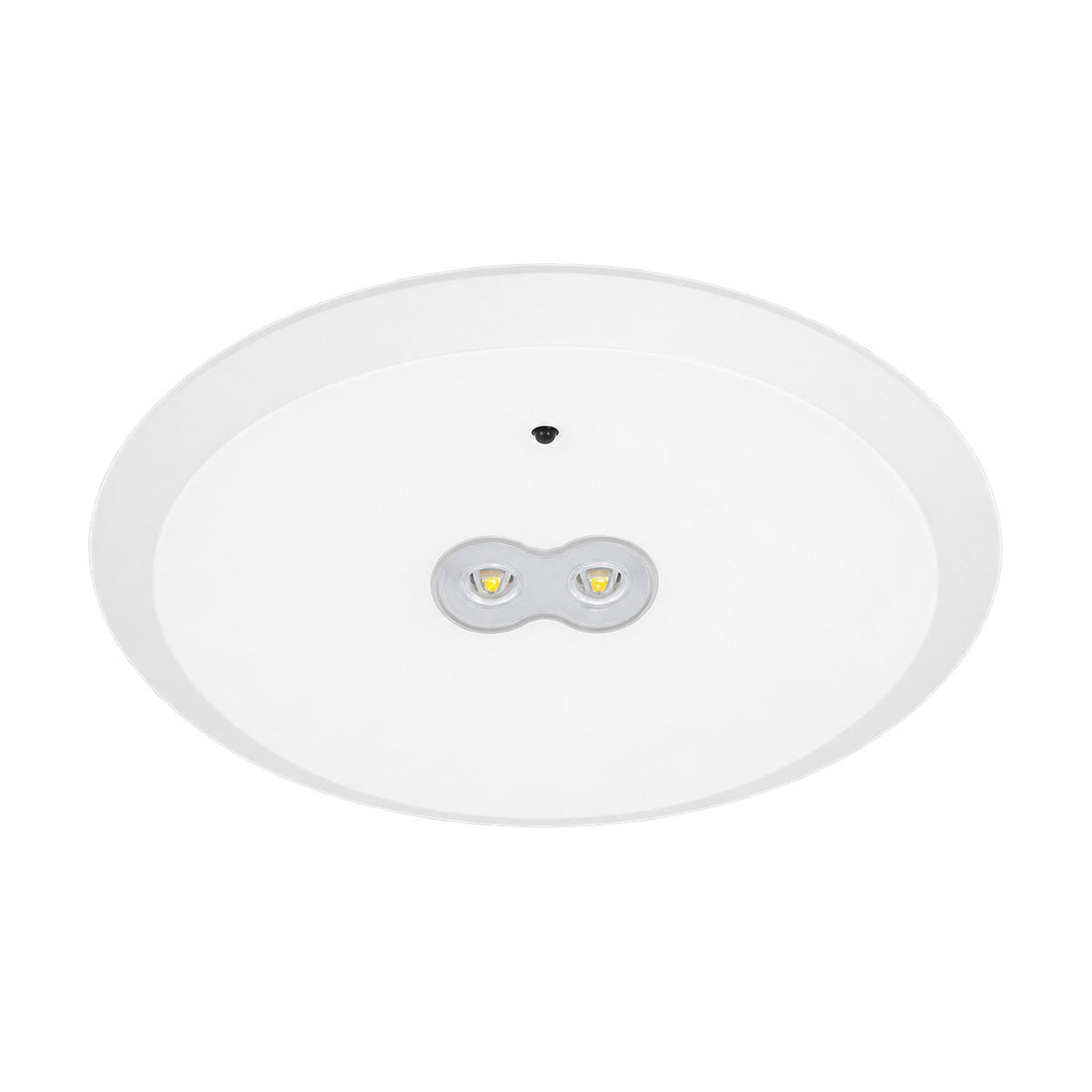 White 6W emergency LED downlight with twin emergency lenses on white background