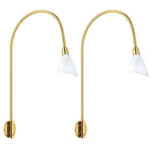 2-Light Picture Light Set with Gold and Frosted White Shades - transparent background
