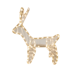 Product image with transparent background, 1254 × 1254.