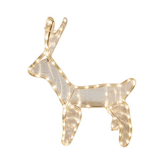 Product image with transparent background, 1254 × 1254.