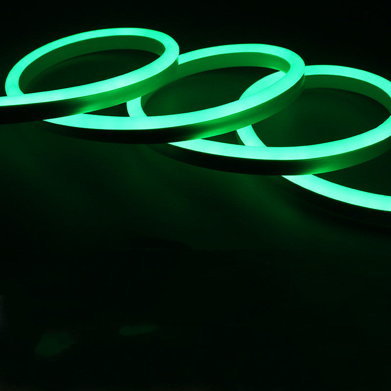 Green LED Neon Strip 5M Indoor