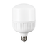 24W Cool White LED E27 Bulb
