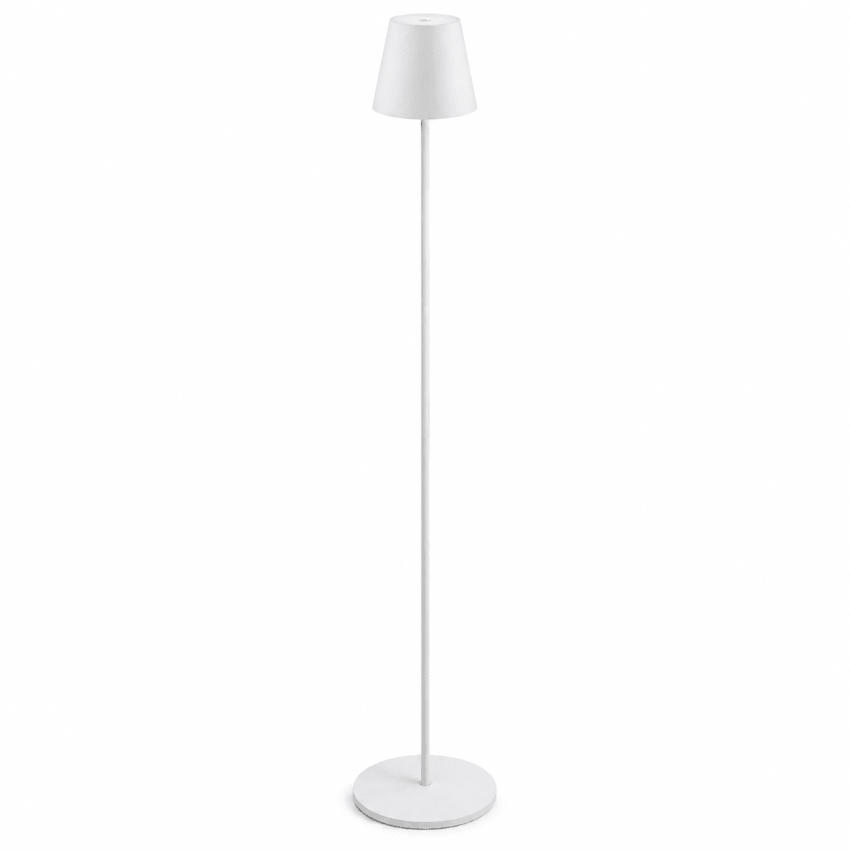 Rechargeable CCT LED Floor Lamps