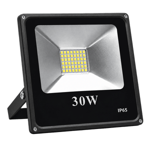 30W flood light — transparent background, 1254 × 1254