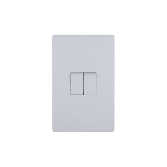 White 2 Lever, 2 Way Switch