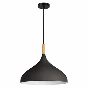 Black pendant lamp with wooden accent on a white background