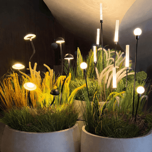 Decorative outdoor lights with plants in pots against a dark background