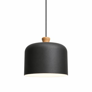 Black pendant lamp with wooden accent on a white background