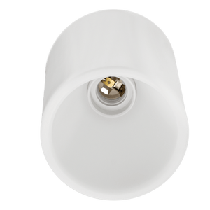 White Ceiling Socket LED IP20