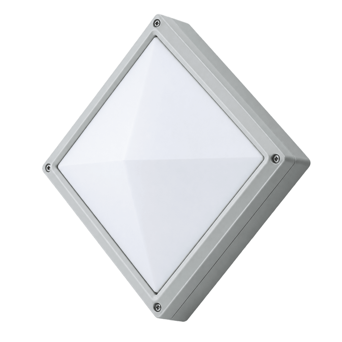 1254 × 1254 transparent product image