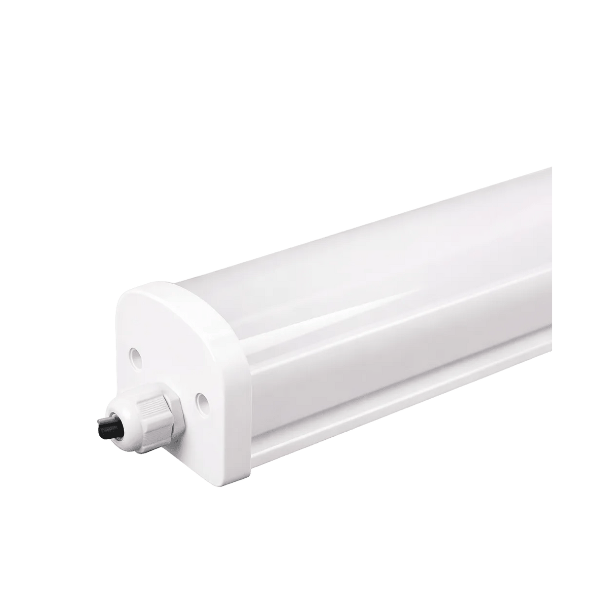 1254 × 1254 transparent product image