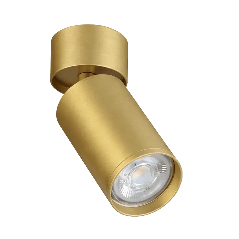 Kaapstad Gold Adjustable Surface Mounted Spotlight
