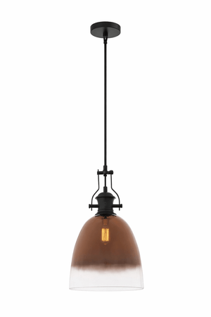 Pendant light with brown glass shade and black metal fixture on a white background