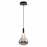 Pendant light with a glass shade and black fixture on a white background