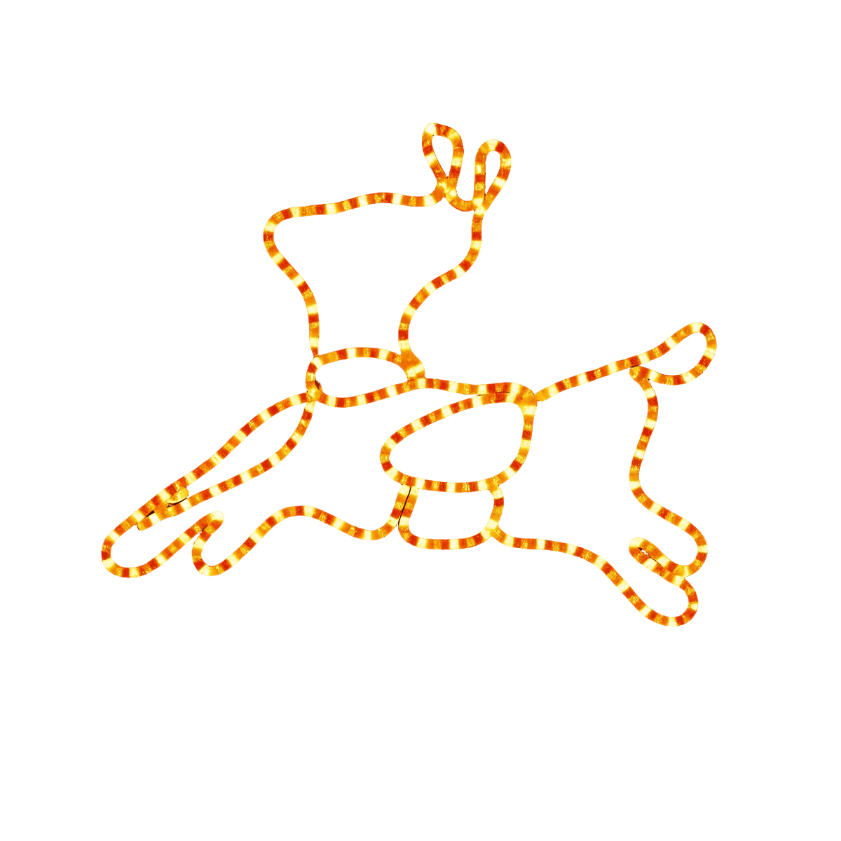 1254 × 1254 transparent product image