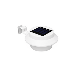 1254 × 1254 transparent product image