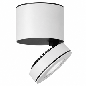 Giba surface mount LED downlight with adjustable head, white finish, designed for focused indoor lighting.