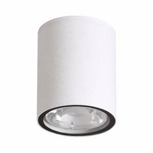 White cylindrical ceiling light fixture on a white background