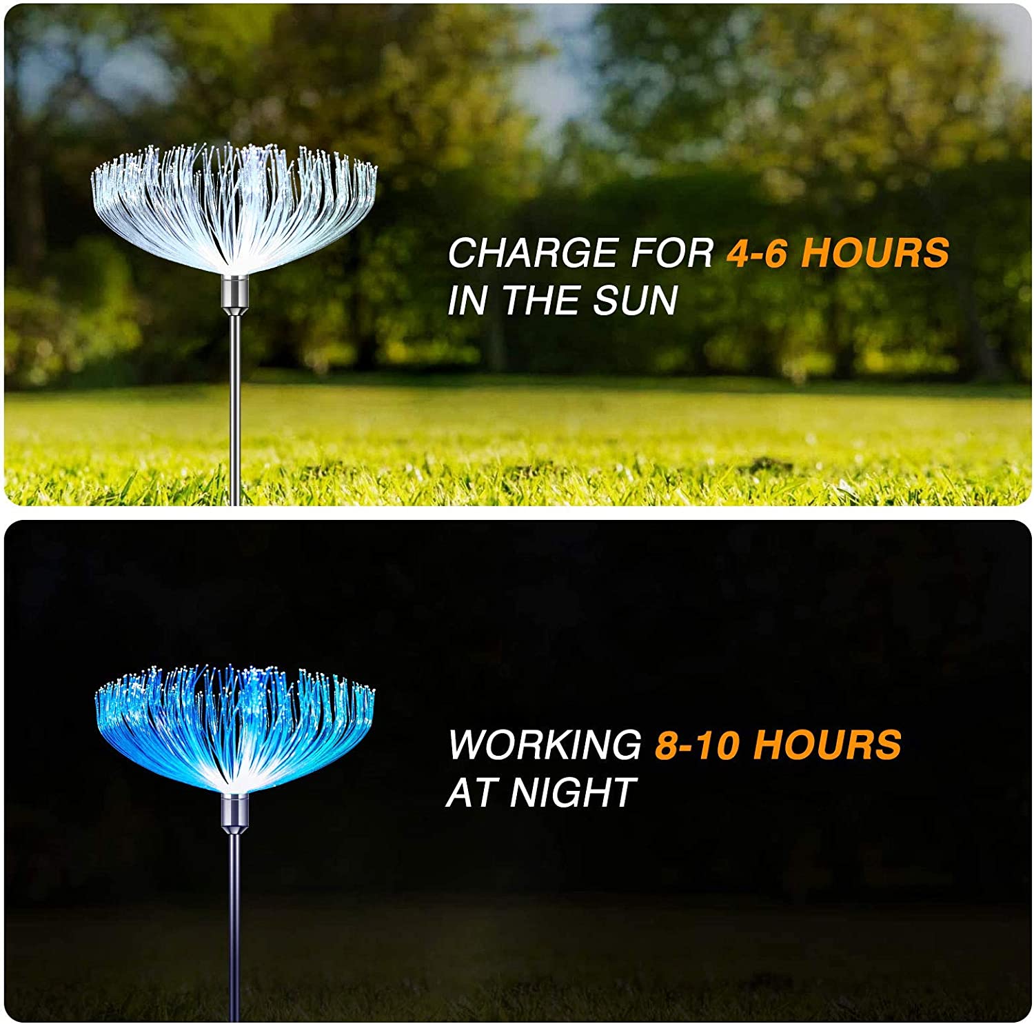 Solar dandelion garden light charging and night working time graphic