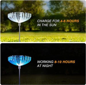 Solar dandelion garden light charging and night working time graphic