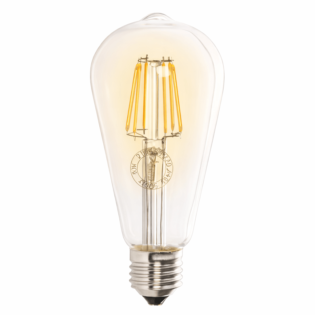 LED Bulb - 6W Filament LED Squirrel Cage