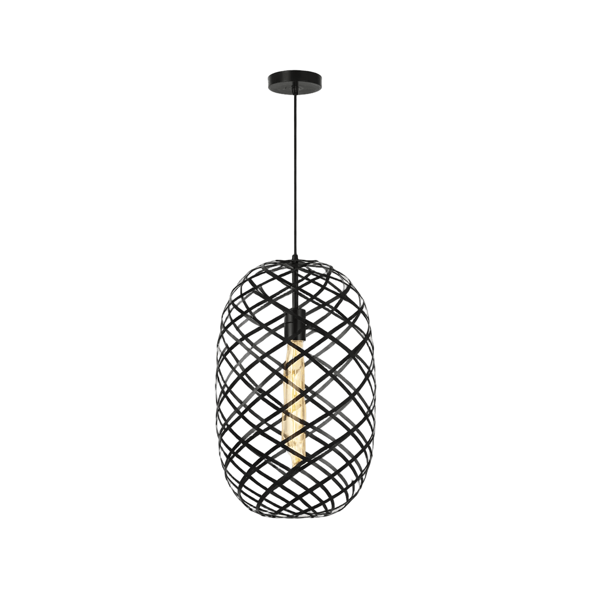Nest Pendant Black - Metal Wire Mesh — transparent background, 1254 × 1254
