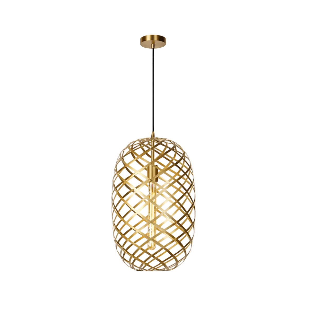 Nest Pendant Gold - Metal Wire Mesh — transparent background, 1254 × 1254