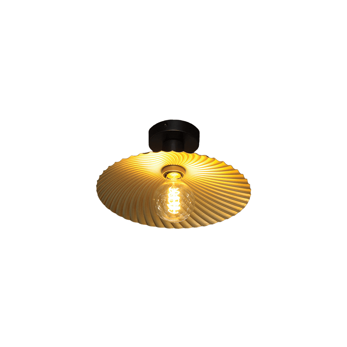 Golden Shell Ceiling Fitting — transparent background, 1254 × 1254