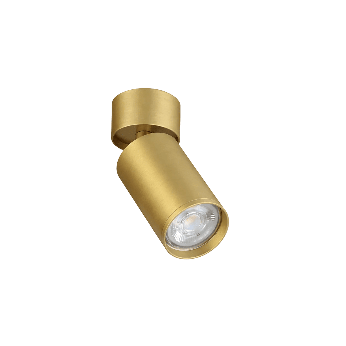 Kaapstad Gold Adjustable Surface Mounted Spotlight — white background, 1254 × 1254