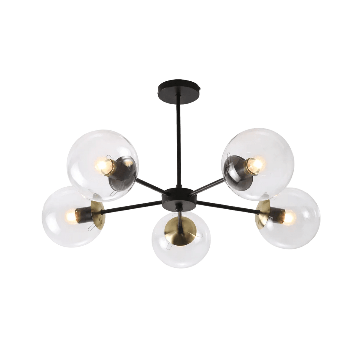 5 Light Black & Antique Brass Pendant — transparent background, 1254 × 1254