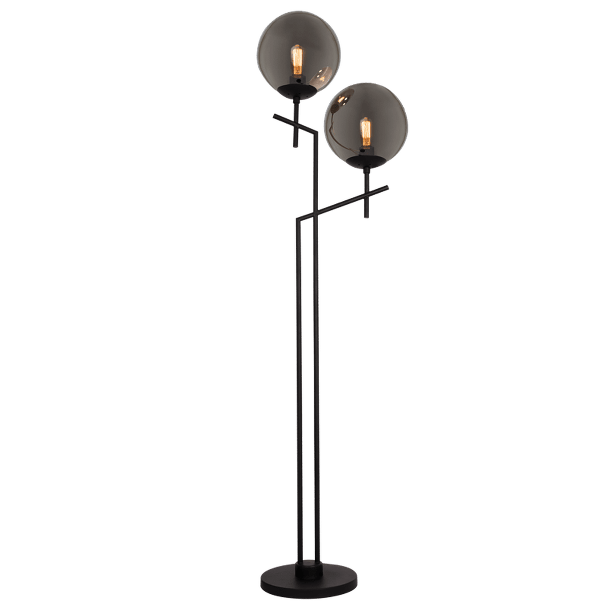 Black with Smoke Glass Floor Lamp — transparent background