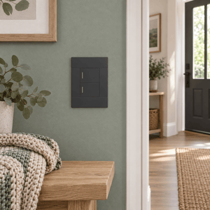 Veti 2 Charcoal Two Lever Wall Switch in a realistic eucalyptus entry hallway setting