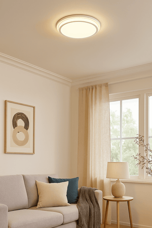 Living room with a ceiling light fixture, sofa, and window.