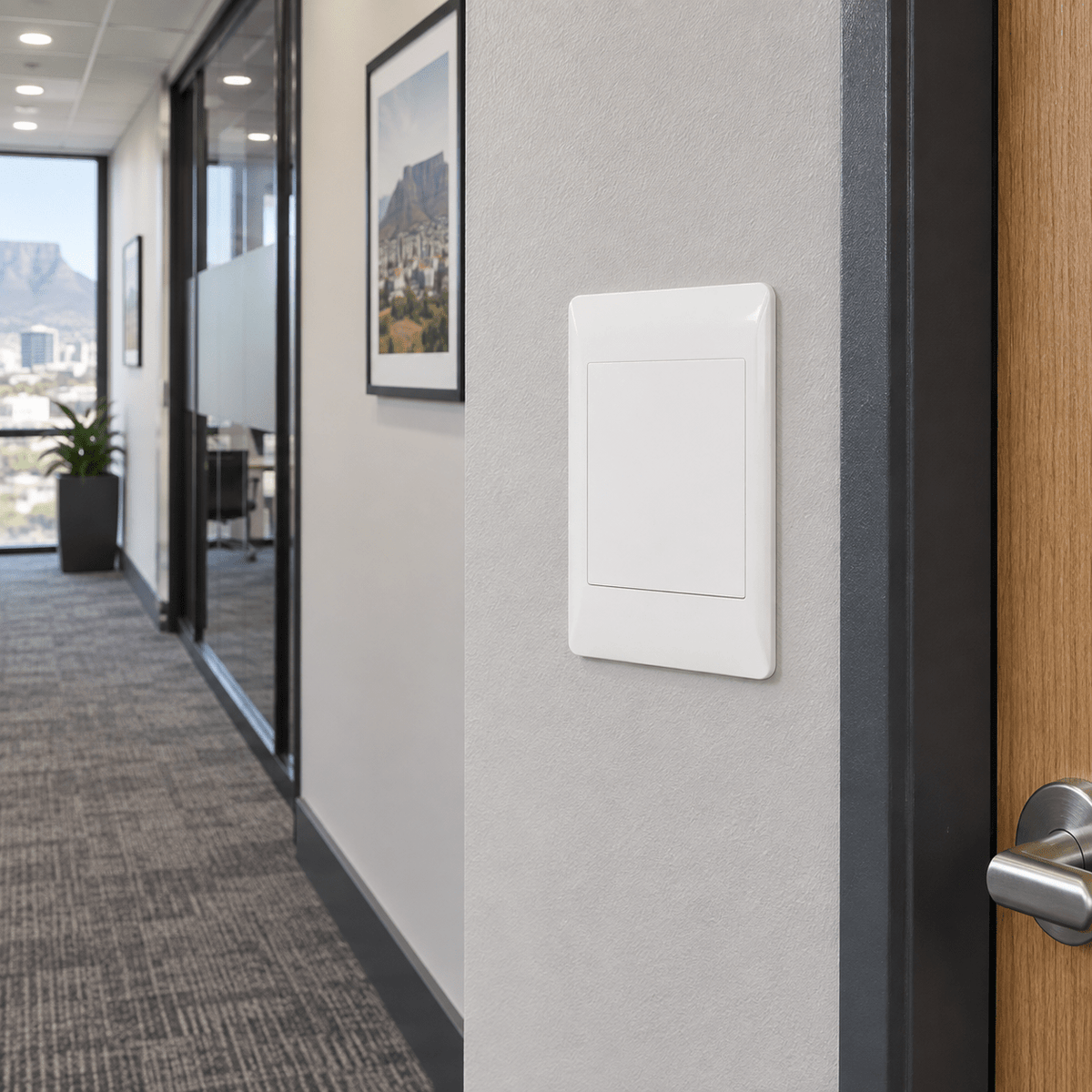 White Indoor Blank Plate Switch Cover lifestyle scene 1