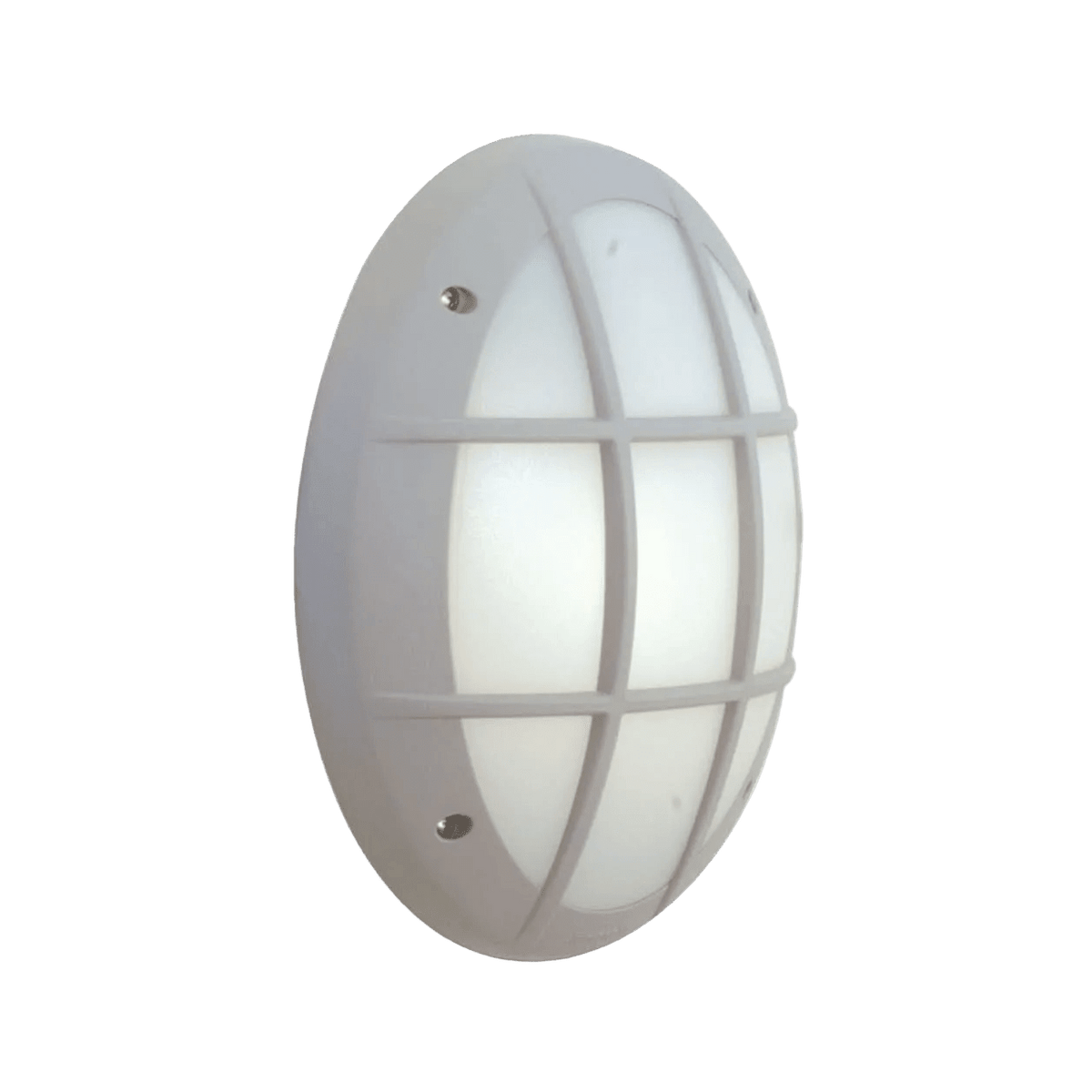 Fumagalli Danzi Grey Outdoor Coastal Wall Light — transparent background