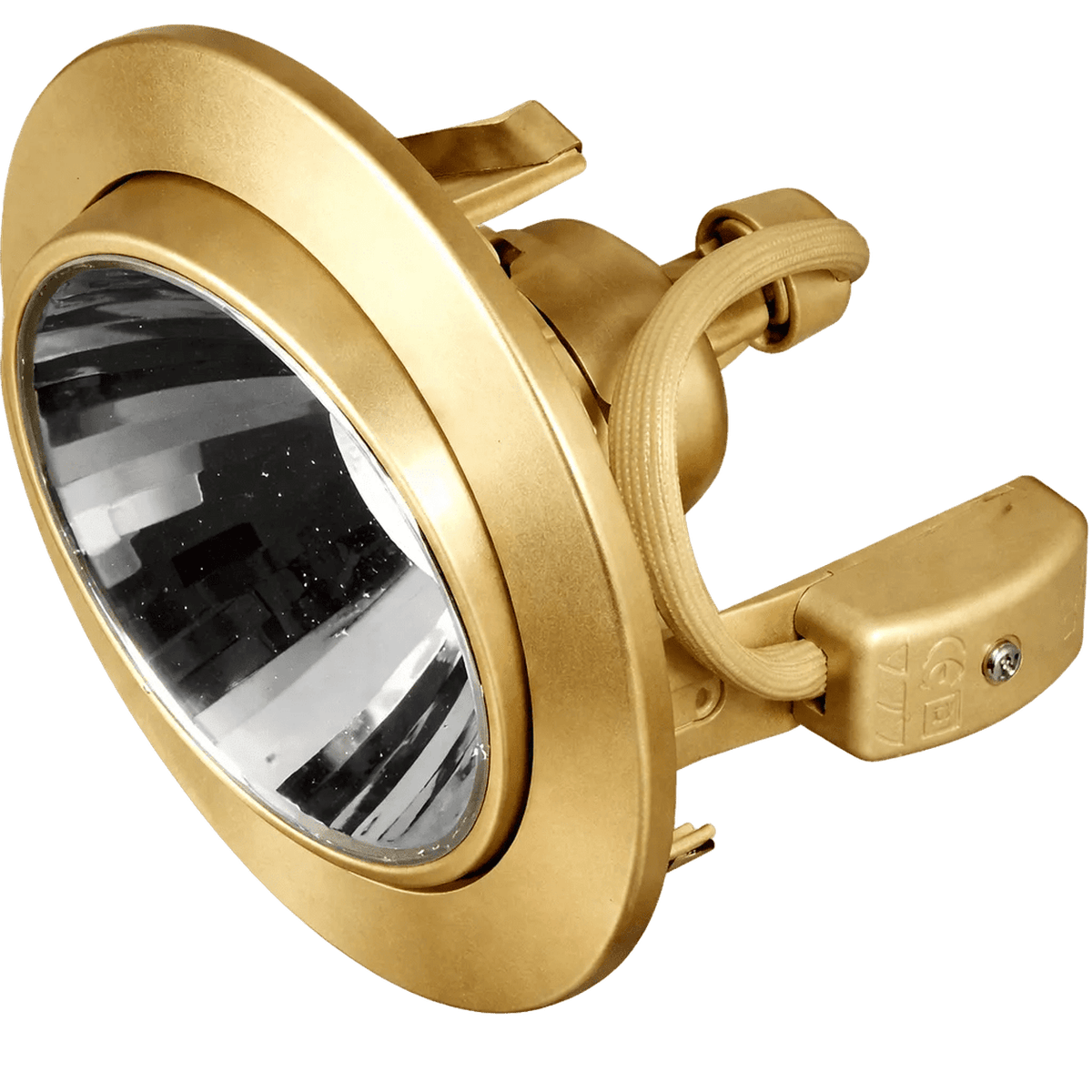 Gold Adjustable Downlight GU10 — transparent background