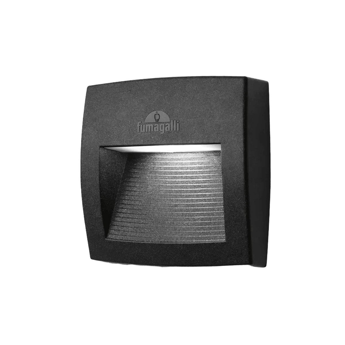 Lorenza Black CCT Foot Light - Coastal — transparent background
