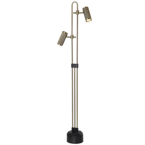Adjustable Dual Head Standing Lamp - Gold Finish — white background