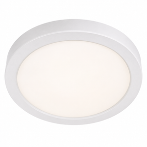 Silver Flush Mount Ceiling Light - Small